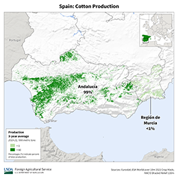 images\SP\cropprod\Spain_Cotton_preview.png